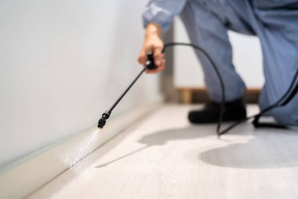 Licensed Pest Control service in Mayville, MI - Show Me Pest Control